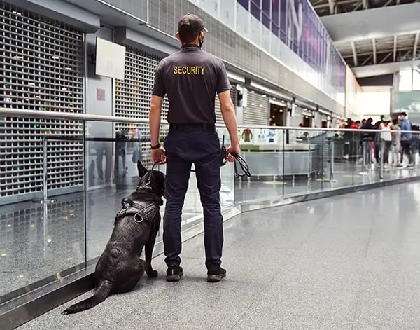Communication Solutions for Airports
